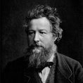 William Morris - NOMADEN ART GALLERY