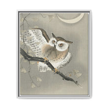 Long-eared owl in ginkgo (1900 - 1930) by Ohara Koson