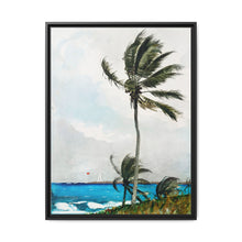 Palm Tree, Nassau (1898) by Winslow Homer - NOMADEN ART GALLERY