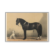 Orloffer (Orloff Horse) by Emil Volkers (1880) - An illustration of a black horse and a white dog - NOMADEN ART GALLERY