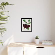 Black Tartarian cherry lithograph. Digitally enhanced from our own original 1900 edition plates of Botanical Specimen published by Rochester Lithographing - NOMADEN ART GALLERY