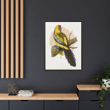 Lydon's Yellow-Rumped Parrakeet | Vintage Bird Wall Art Print