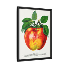 Wolf River Apple Lithograph | Vintage Botanical Wall Art Print
