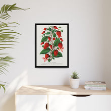 Prunus Triloba flower lithograph. Digitally enhanced from our own original 1900 edition plates of Botanical Specimen published by Rochester Lithographing