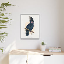Great Black Cockatoo (Probosciger aterrimus) colored wood-engraved plate by Alexander Francis Lydon