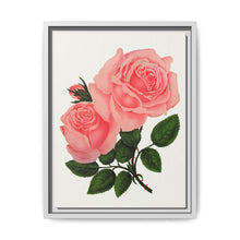 Pink Rose, La France Lithograph (1900) - NOMADEN ART GALLERY