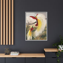 Birds of Paradise: Vintage Natural History Art by Benjamin Fawcett (1808 - 1893)