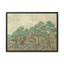 Vincent van Gogh's The Olive Orchard (1889) - Historical Art Canvas Print - NOMADEN ART GALLERY