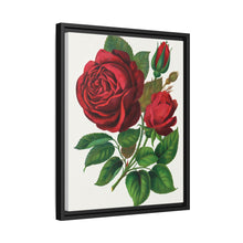 Red Rose, Prince Camille De Rohan Lithograph