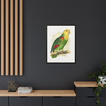 Double-Fronted or Le Vaillant's Amazon (Amazona oratrix) colored wood-engraved plate by Alexander Francis Lydon.