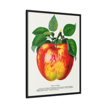Wolf River Apple Lithograph | Vintage Botanical Wall Art Print