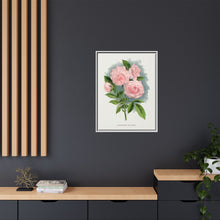Pink rose, Clothilde Soupert lithograph. Digitally enhanced from our own original 1900 edition plates of Botanical Specimen published by Rochester Lithographing