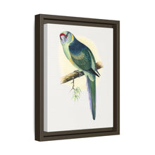 Barnard's Parrakeet (Barnardius barnardi) colored wood-engraved plate by Alexander Francis Lydon