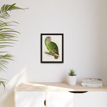Dufresne's Amazon (Amazona dufresniana) colored wood-engraved plate by Alexander Francis Lydon