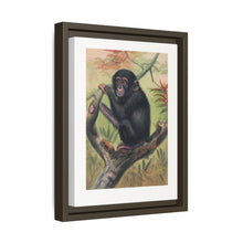 The Chimpanzee from Zoological sketches (1861-1867) by Joseph Wolf and Philip Lutley Sclater.