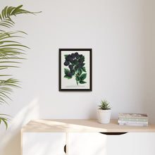 Wachusett Blackberry Lithograph | Vintage Botanical Wall Art