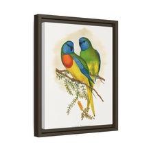 Prachtsittich (Neophema splendida) farbige Holzstichplatte von Alexander Francis Lydon
