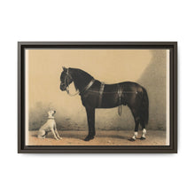 Orloffer (Orloff Horse) by Emil Volkers (1880) - An illustration of a black horse and a white dog - NOMADEN ART GALLERY
