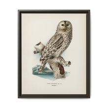 Strix uralensis ♀ illustrated by the von Wright brothers from our own 1929 folio version of Svenska Fåglar Efter Naturen Och Pa Sten Ritade - NOMADEN ART GALLERY
