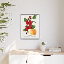 Japan Quince tree lithograph. Digitally enhanced from our own original 1900 edition plates of Botanical Specimen published by Rochester Lithographing