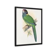 Lydon's Yellow-Naped Parrakeet | Vintage Bird Wall Art Print