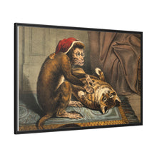A monkey physician examining a cat patient for fleas. Coloured lithograph
