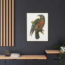 Mountain Parrot (Nestor notabilis) colored wood-engraved plate by Alexander Francis Lydon