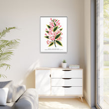 Pink flowers, Weigela lithograph (1900)