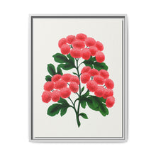 Paul's New Double Flowering Thorn lithograph. Digitally enhanced from our own original 1900 edition plates of Botanical Specimen published by Rochester Lithographing - NOMADEN ART GALLERY