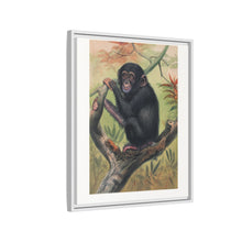 The Chimpanzee from Zoological sketches (1861-1867) by Joseph Wolf and Philip Lutley Sclater.