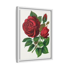 Red Rose, Prince Camille De Rohan Lithograph