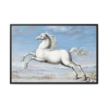 White horse (1552–1601) by Joris Hoefnagel - NOMADEN ART GALLERY