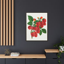 Shaffer's Colossal Raspberry Lithograph (1900)