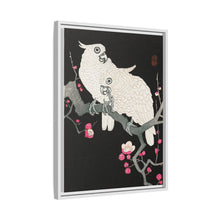 Two cockatoo and plum blossom (1925 - 1936) by Ohara Koson