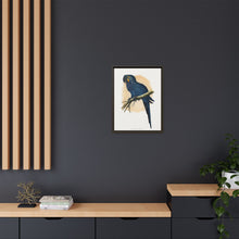 Hyacinthine Macaw (Anodorhynchus hyacinthinus) colored wood-engraved plate by Alexander Francis Lydon.