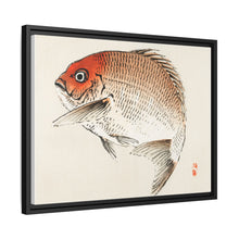 Tai (Red Seabream) fish by Kōno Bairei