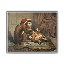 A monkey physician examining a cat patient for fleas. Coloured lithograph - NOMADEN ART GALLERY