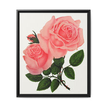 Pink Rose, La France Lithograph (1900) - NOMADEN ART GALLERY