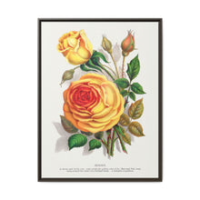 lithograph from Botanical Specimen published by Rochester Lithographing - NOMADEN ART GALLERY