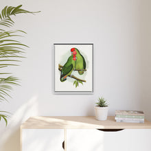 Rosy-Faced Love-Bird (Agapornis roseicollis) colored wood-engraved plate by Alexander Francis Lydon.