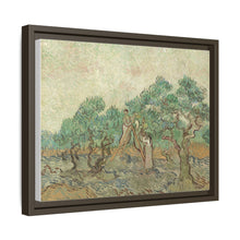 Vincent van Gogh's The Olive Orchard (1889) - NOMADEN ART GALLERY
