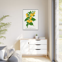 Golden queen raspberry lithograph. Digitally enhanced from our own original 1900 edition plates of Botanical Specimen published by Rochester Lithographing