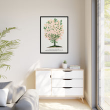 Purple Fringe tree lithograph. Digitally enhanced from our own original 1900 edition plates of Botanical Specimen published by Rochester Lithographing