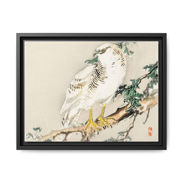 Northern mockingbird by Kōno Bairei (1844-1895) - NOMADEN ART GALLERY