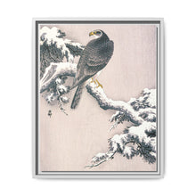 Goshawk on Snow-covered Pine Bough by Ohara Koson (1877–1945) - NOMADEN ART GALLERY
