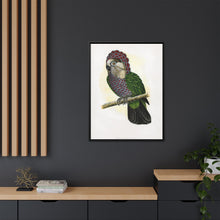 Hawk-Headed Parrot (Deroptyus accipitrinus) colored wood-engraved plate by Alexander Francis Lydon.