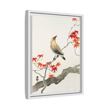 Japanese plague bird on maple (1900 - 1936) by Ohara Koson