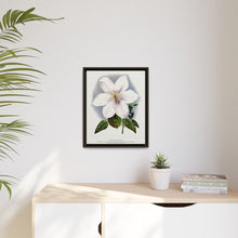 Clematis flower lithograph. Digitally enhanced from our own original 1900 edition plates of Botanical Specimen published by Rochester Lithographing
