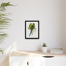 Budgerigar (Melopsittacus undulatus) colored wood-engraved plate by Alexander Francis Lydon