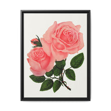 Pink Rose, La France Lithograph (1900) - NOMADEN ART GALLERY